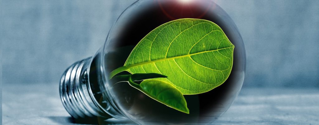 light-bulb-2631864_1920