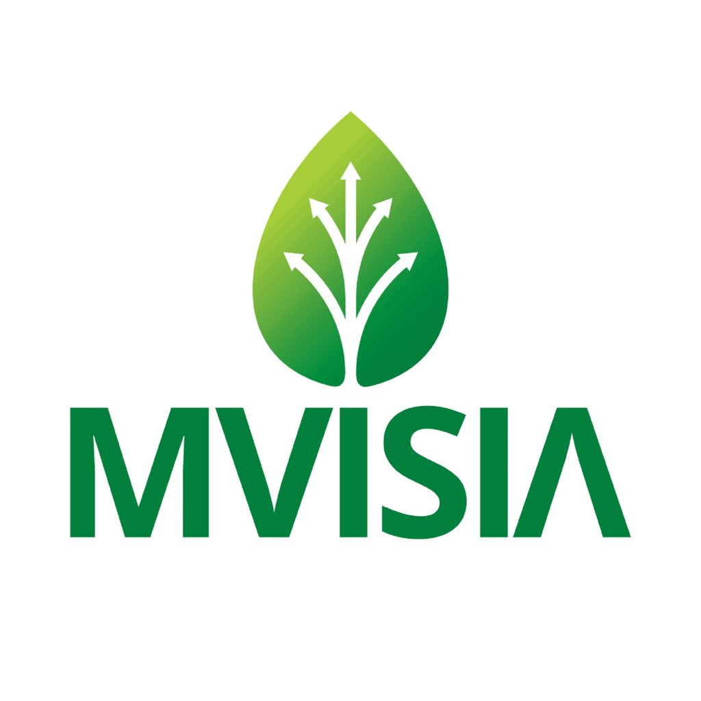 logo mvisia