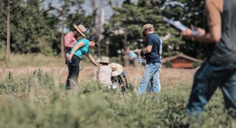 agricultura inteligente
