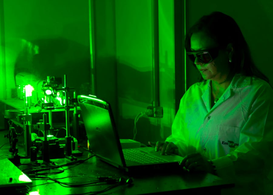 semente soja laser