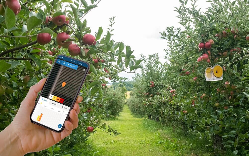 RapidAim-phone-web-custom insetos