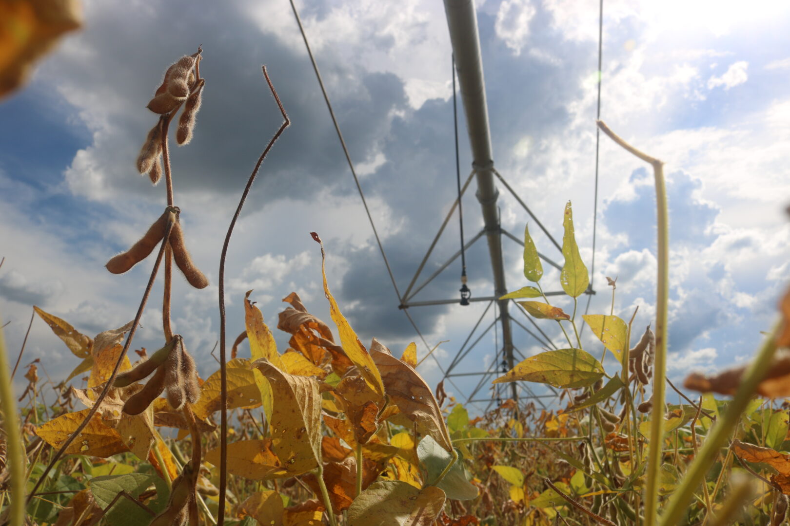 irrigação inteligente