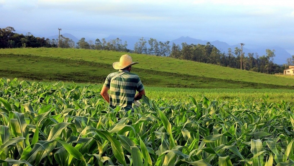 fecoagro2 cooperativa