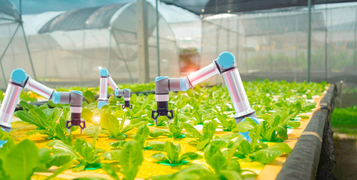 informática agropecuária