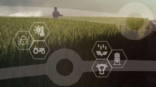 hackatagro farsul