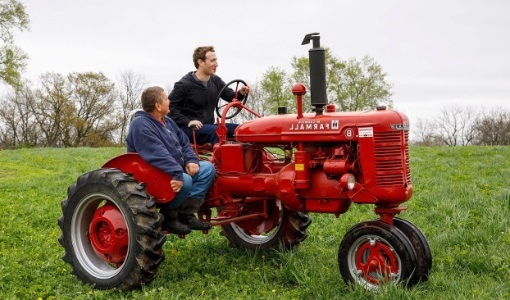 pequenos produtores zuckerberg
