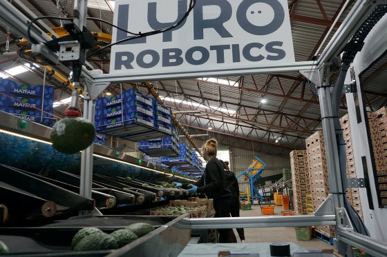robô empacotador