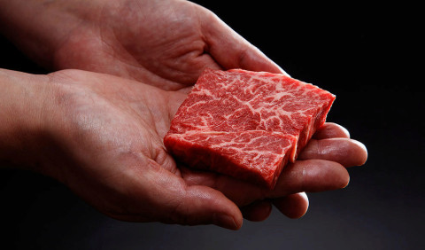 wagyu 3d