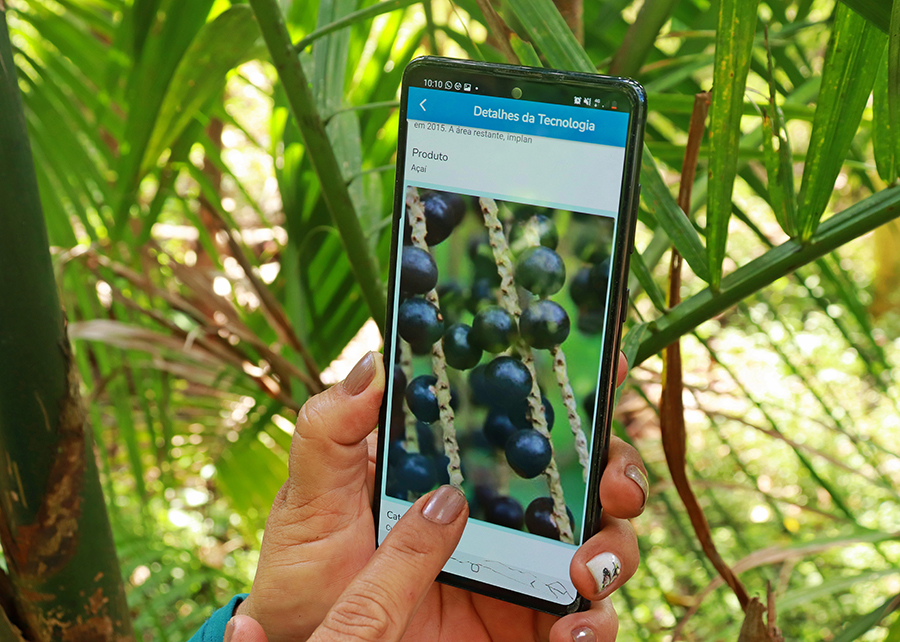 Amazônia app